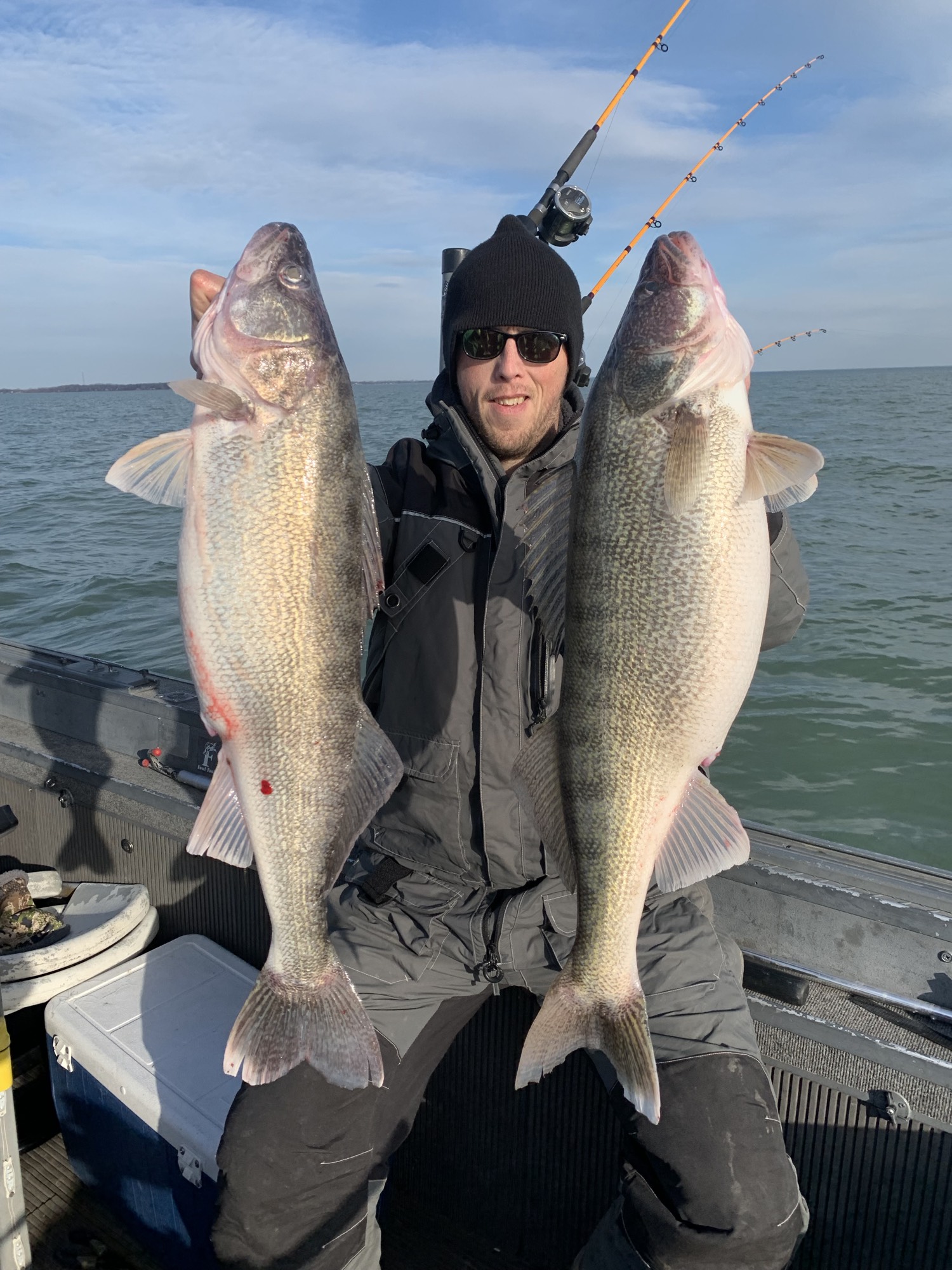 Two Lake Erie walleye